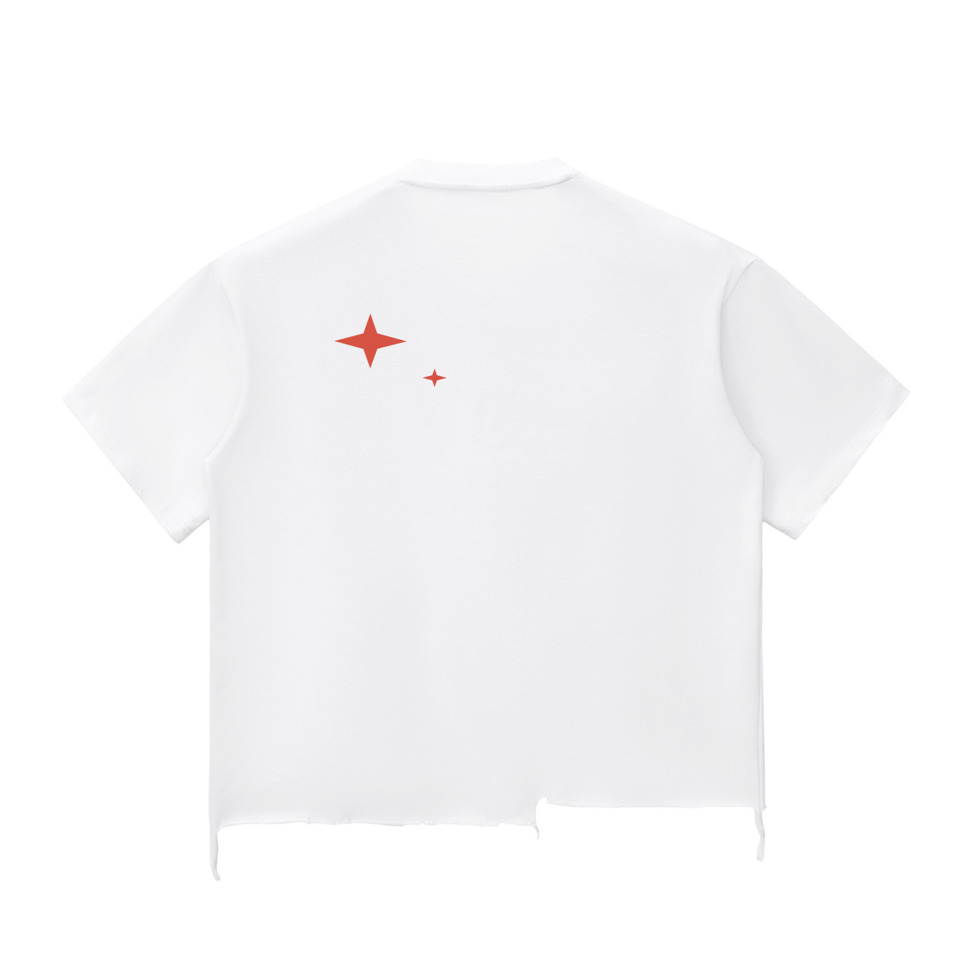 Tiger Rose - Wash Raw-Hem Boxy T